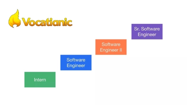 Career Path for Software Engineers: From Junior to Senior