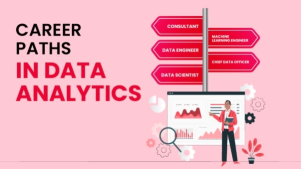 Data Analyst Career Guide: Skills, Roles and How to Advance