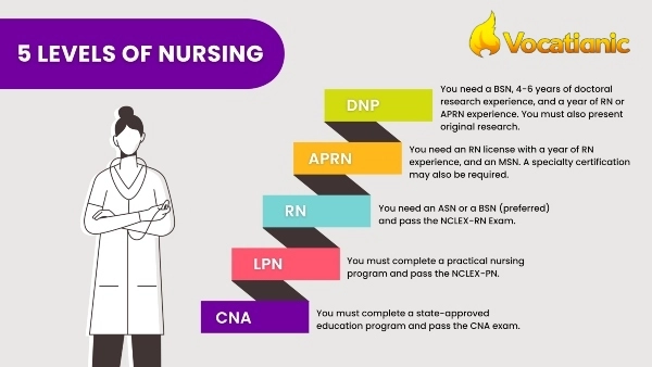 Nursing Career Path: Roles, Levels and How to Advance in Nursing